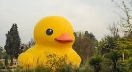 Imagen de patito